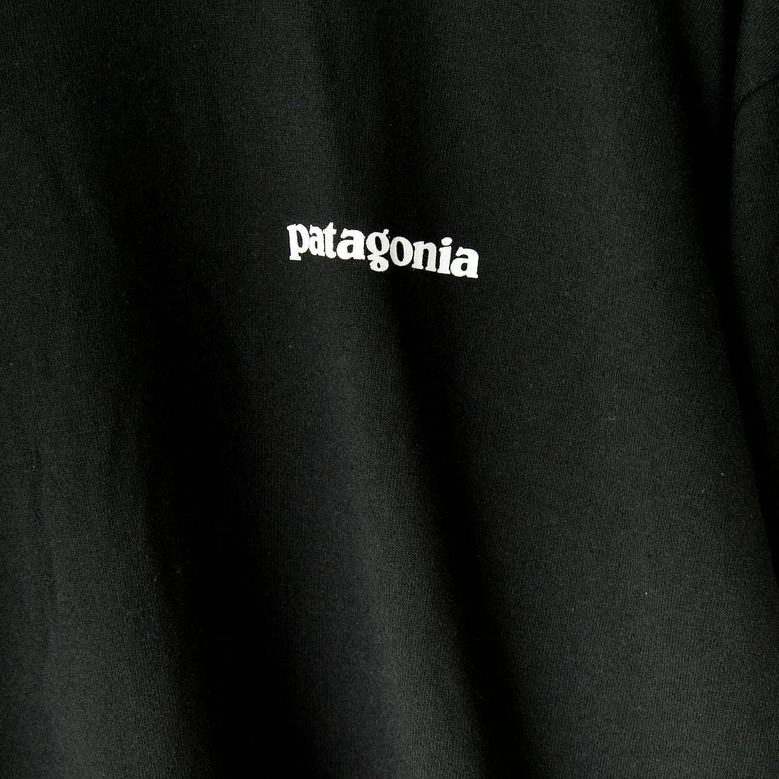 patagonia [パタゴニア] メンズ ロングスリーブ ホームウォータートラウト レスポンシビリティー [37574] BLK