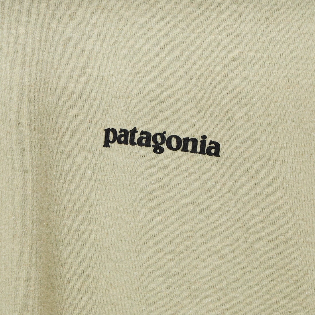patagonia [パタゴニア] メンズ ロングスリーブ ホームウォータートラウト レスポンシビリティー [37574] GMTG