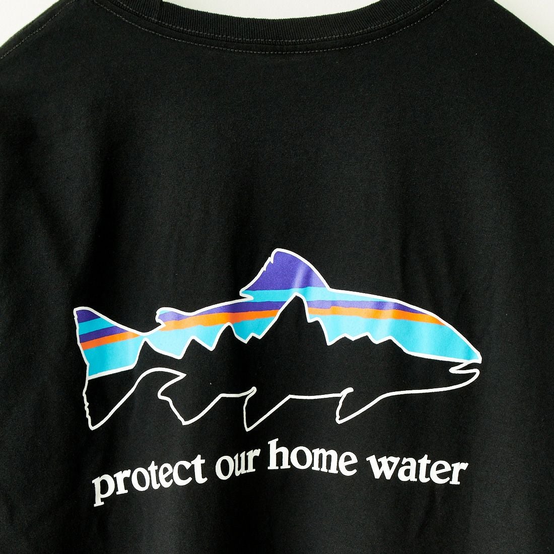 patagonia [パタゴニア] メンズ ロングスリーブ ホームウォータートラウト レスポンシビリティー [37574] BLK