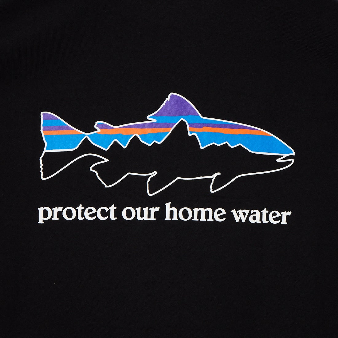 patagonia [パタゴニア] メンズ ロングスリーブ ホームウォータートラウト レスポンシビリティー [37574] BLK