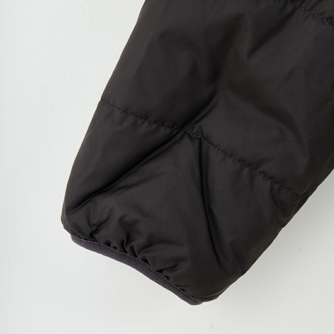 patagonia [パタゴニア] リバーシブル レディ フレディ フーディ [68095] INBK