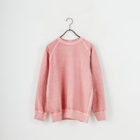 P-CORAL