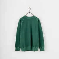 P-DK.GREEN