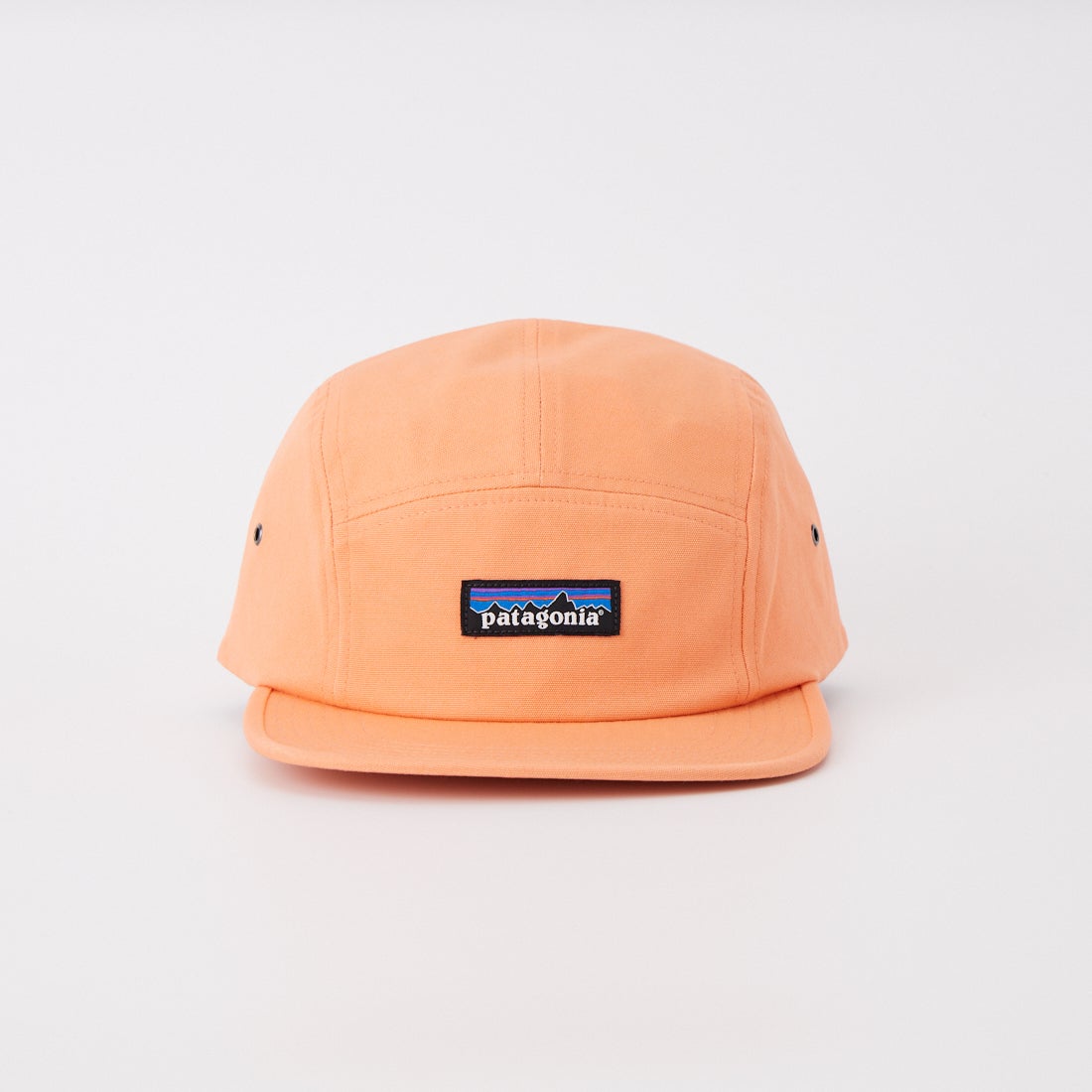 patagonia [パタゴニア] グラフィック マクルーアハット [22545