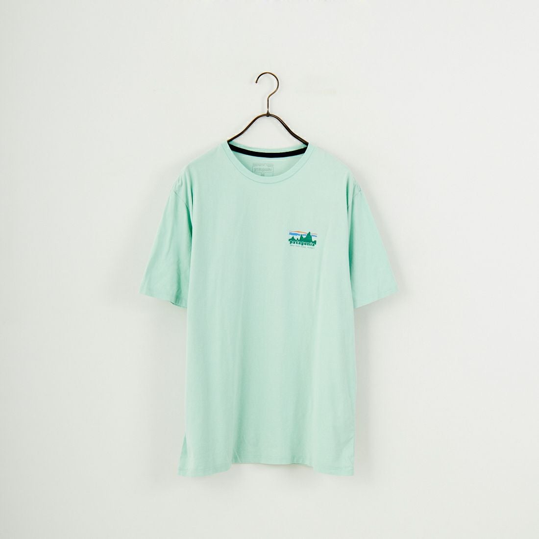 patagonia [パタゴニア] メンズ 73 スカイライン オーガニックTシャツ [37534] RNSG