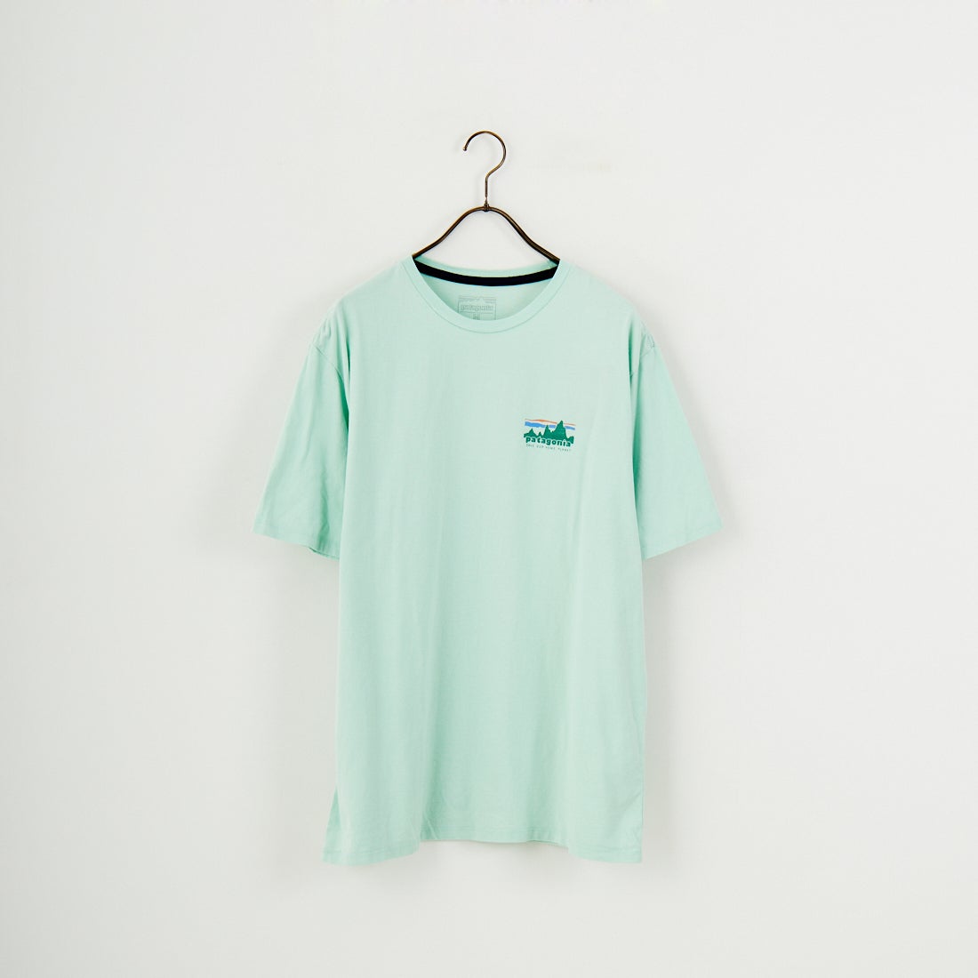 patagonia [パタゴニア] メンズ 73 スカイライン オーガニックTシャツ [37534] RNSG