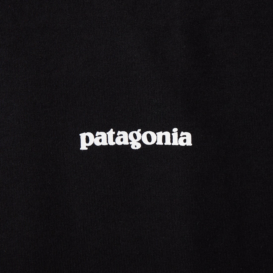patagonia [パタゴニア] メンズ P-6ロゴ レスポンシビリティーTシャツ [38504] BLK