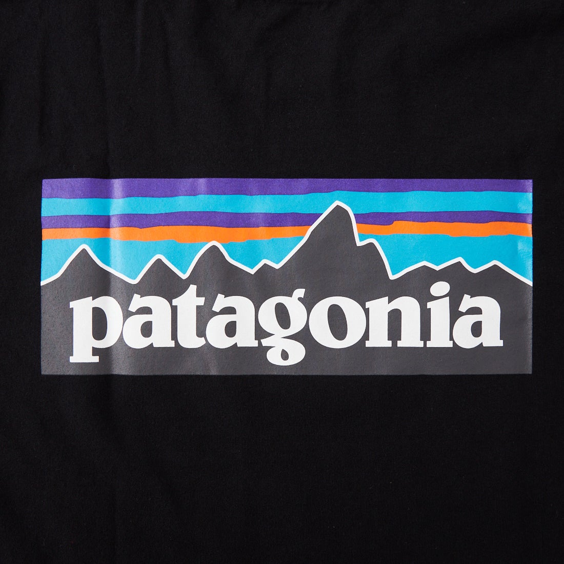 patagonia [パタゴニア] メンズ P-6ロゴ レスポンシビリティーTシャツ [38504] BLK