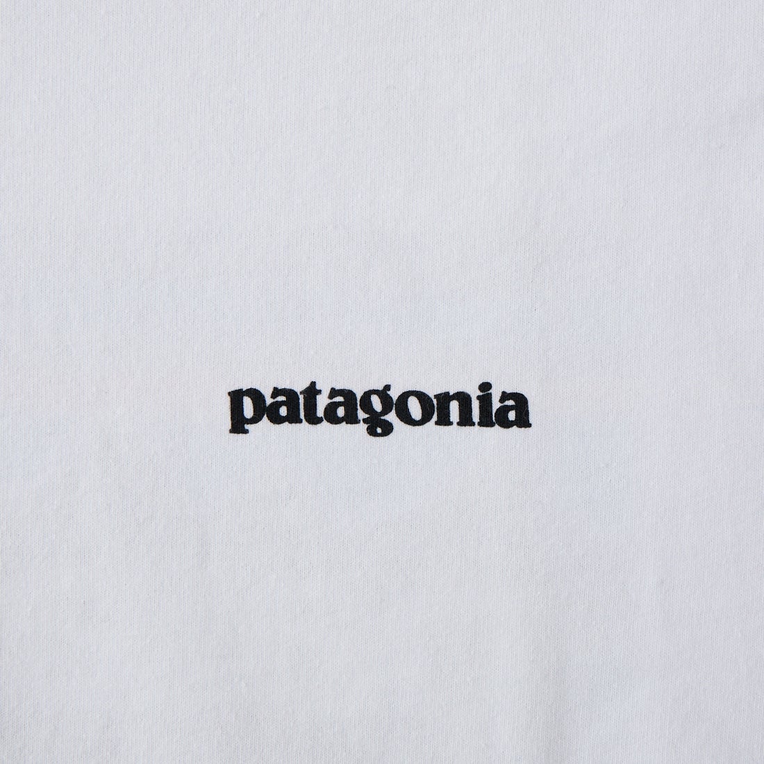 patagonia [パタゴニア] メンズ P-6ロゴ レスポンシビリティーTシャツ [38504] WHI