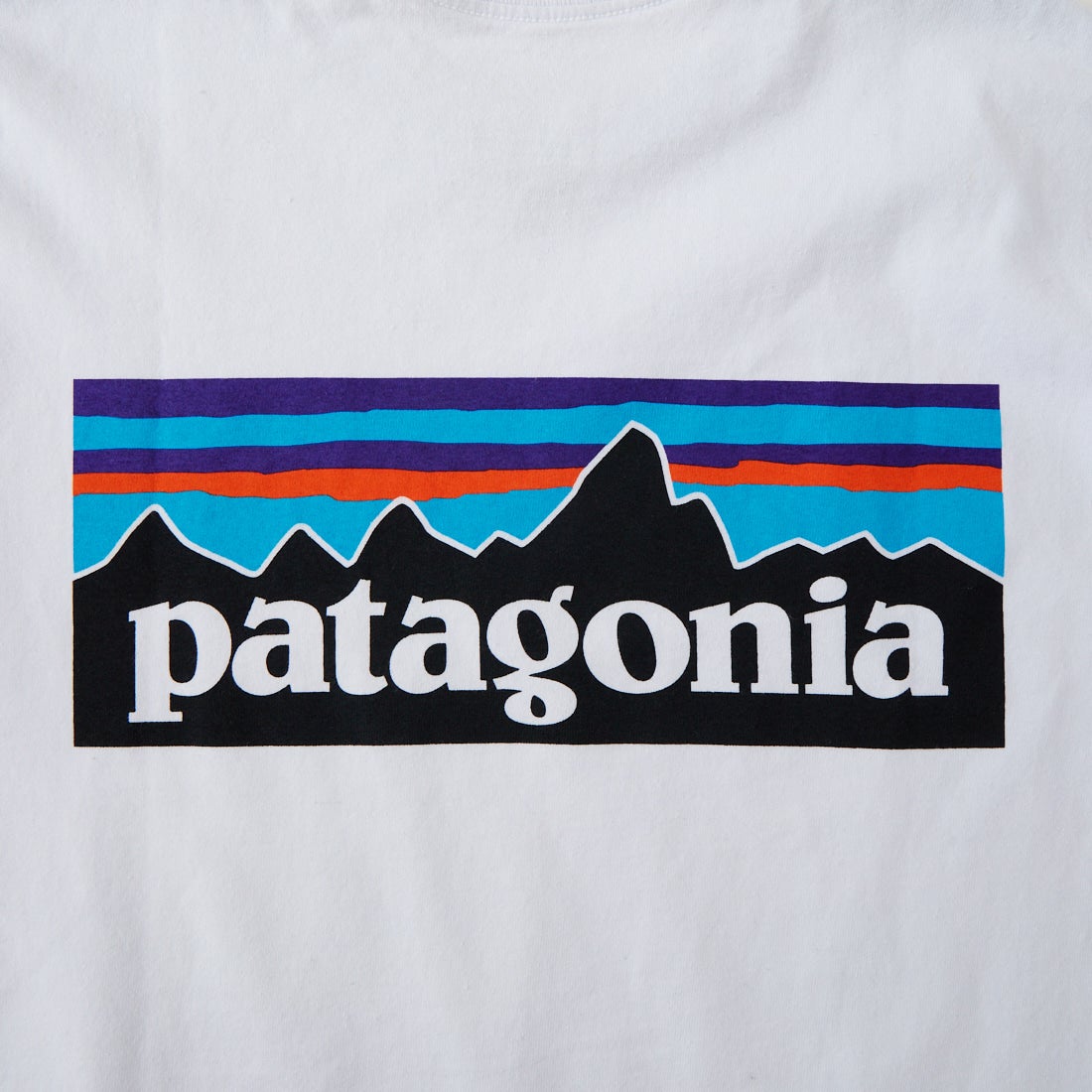 patagonia [パタゴニア] メンズ P-6ロゴ レスポンシビリティーTシャツ [38504] WHI
