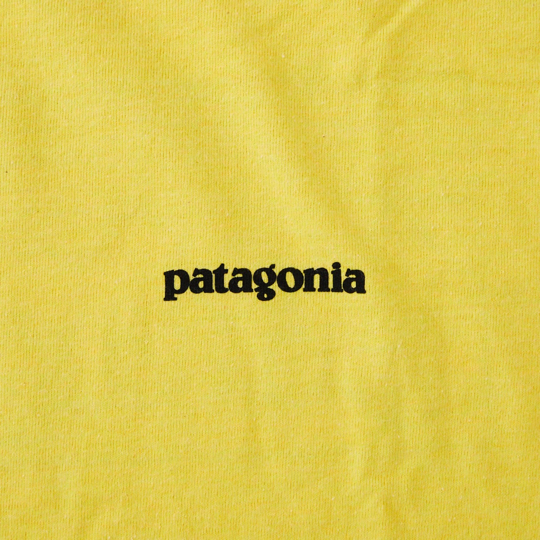 patagonia [パタゴニア] メンズ P-6ロゴ レスポンシビリティーTシャツ