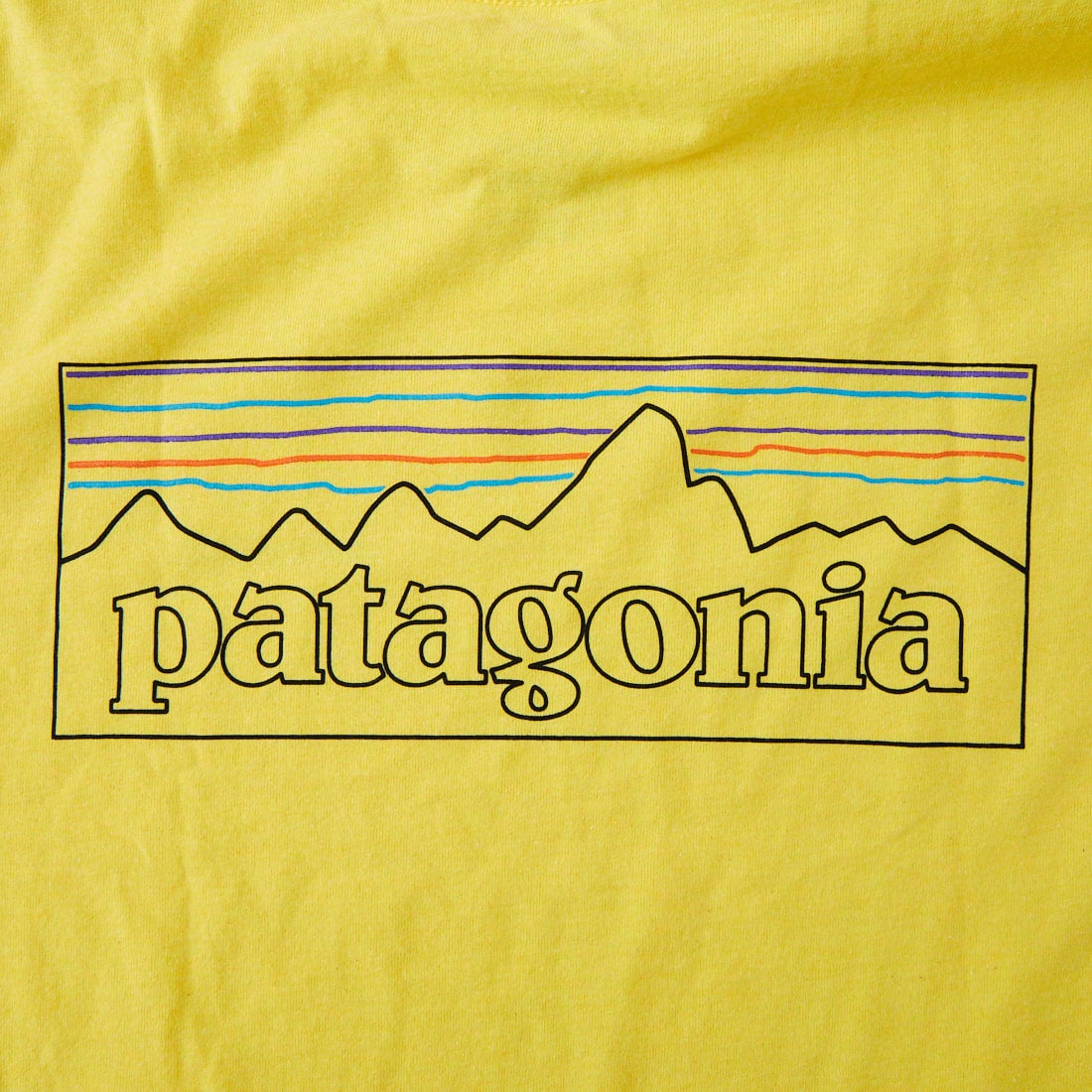 patagonia [パタゴニア] メンズ P-6ロゴ レスポンシビリティーTシャツ