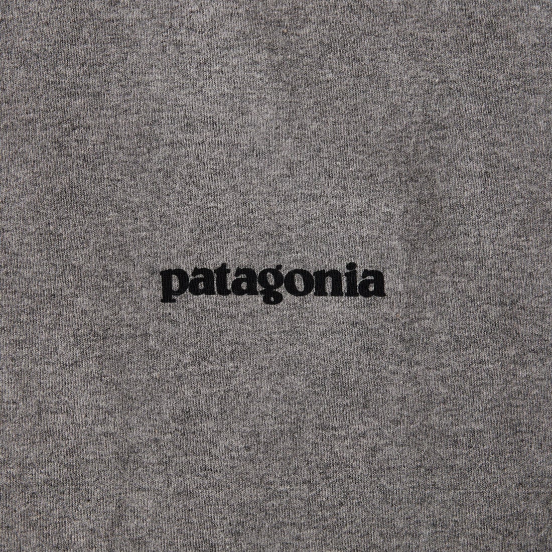patagonia [パタゴニア] メンズ P-6ロゴ レスポンシビリティーTシャツ [38504] GLH