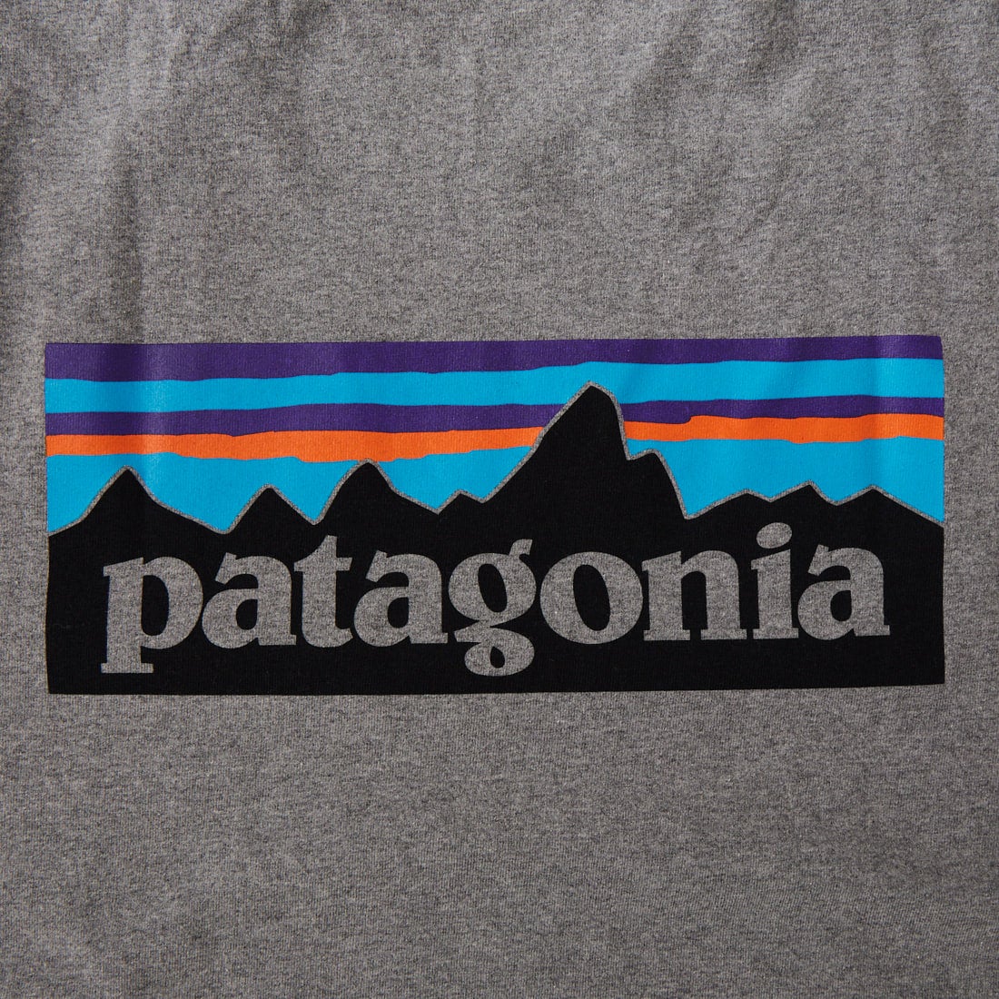 patagonia [パタゴニア] メンズ P-6ロゴ レスポンシビリティーTシャツ [38504] GLH