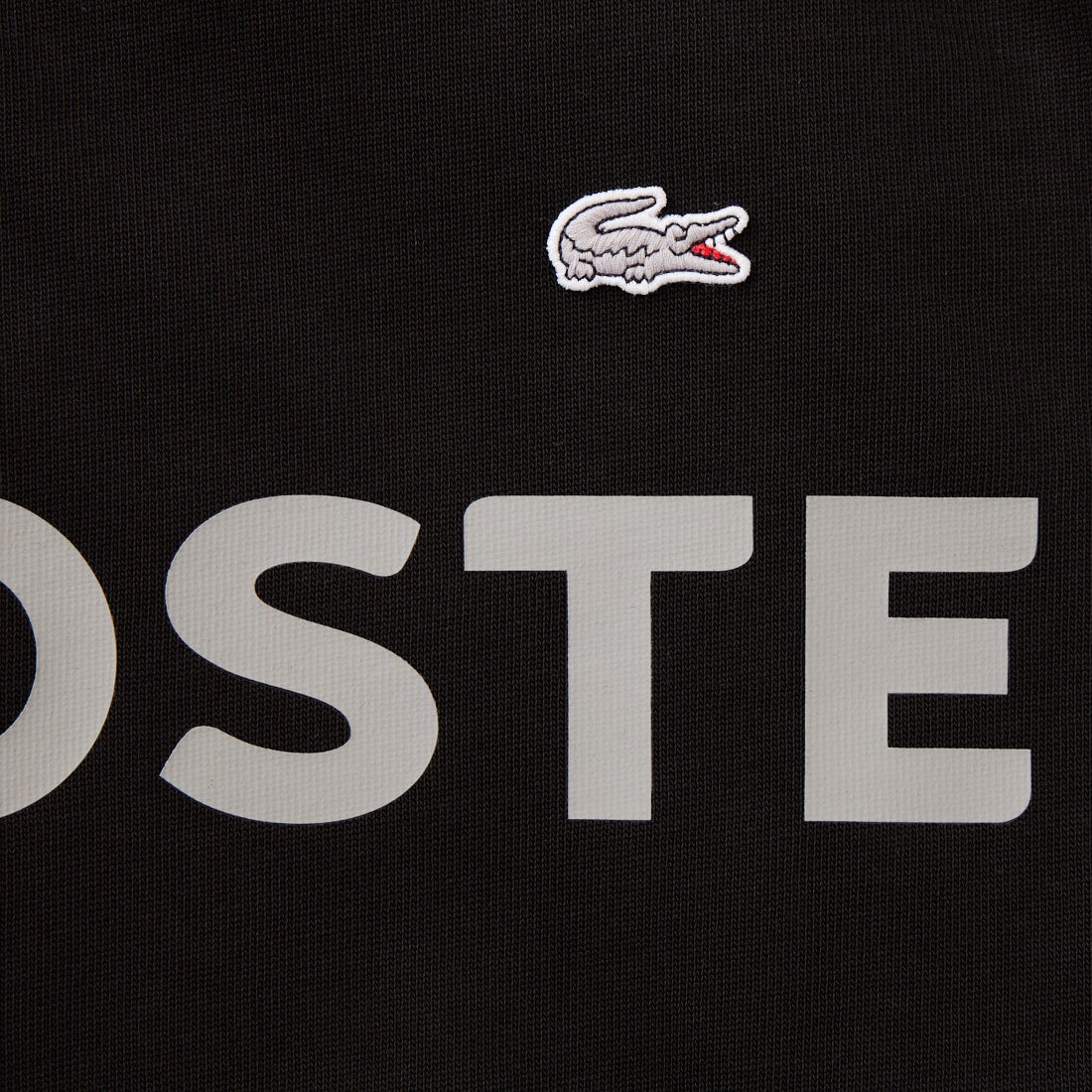 LACOSTE [ラコステ] ヘビーウェイトロゴTシャツ [TH2299] 031 BLACK