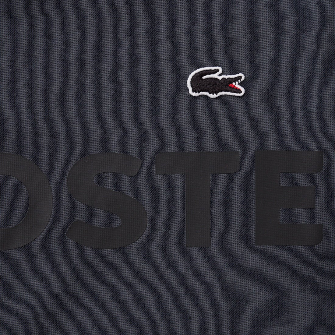 LACOSTE [ラコステ] ヘビーウェイトロゴTシャツ [TH2299] S5T GRAPHI