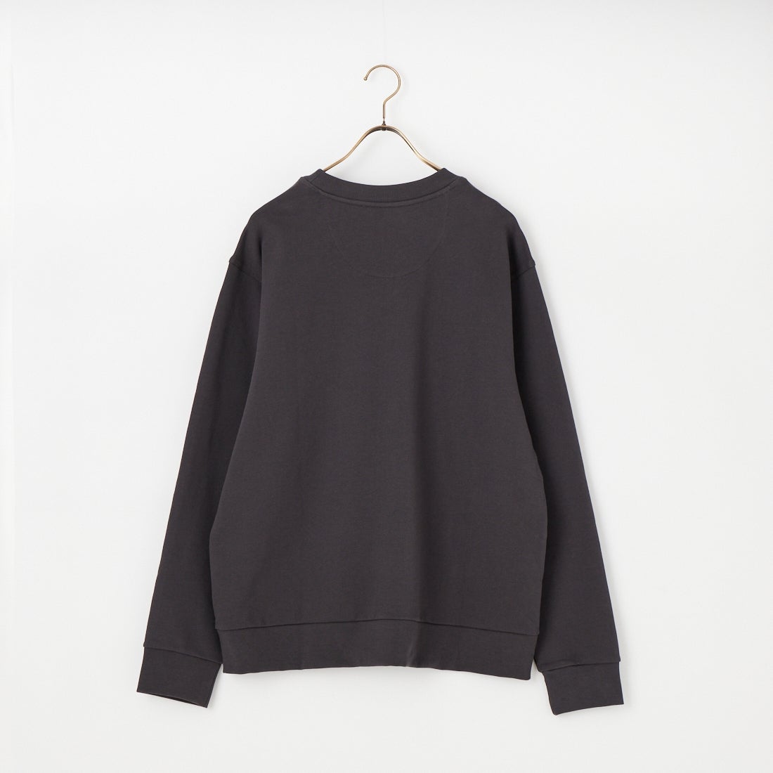 patagonia [パタゴニア] デイリー クルーネックスウェットシャツ [22765] INBK