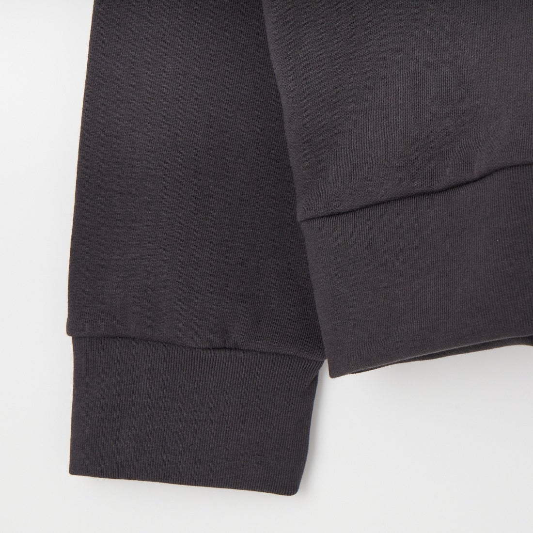 patagonia [パタゴニア] デイリー クルーネックスウェットシャツ [22765] INBK