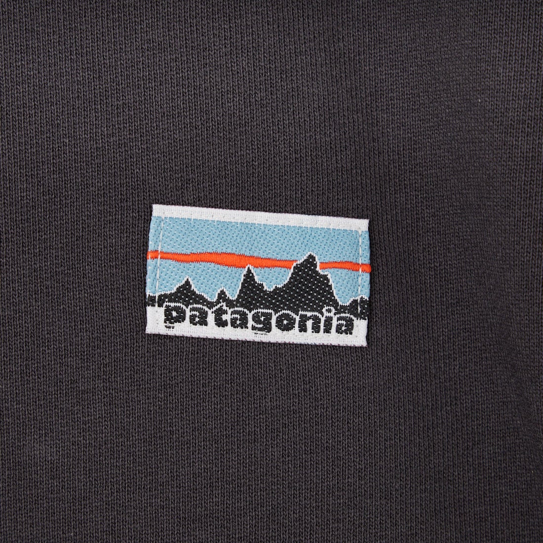 patagonia [パタゴニア] デイリー クルーネックスウェットシャツ [22765] INBK