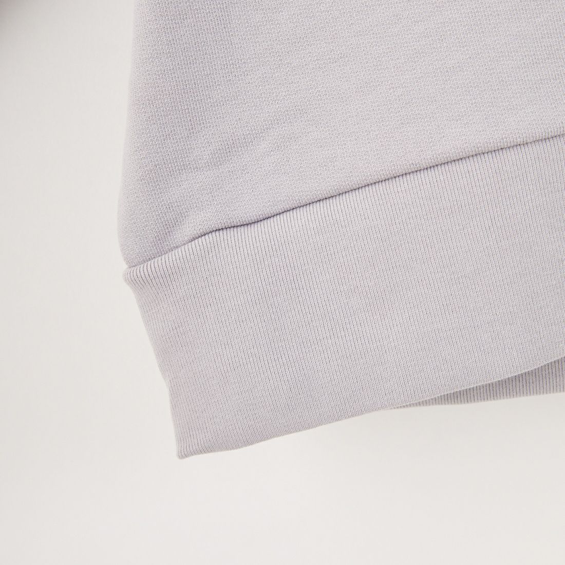 patagonia [パタゴニア] デイリー クルーネックスウェットシャツ [22765] SGRY