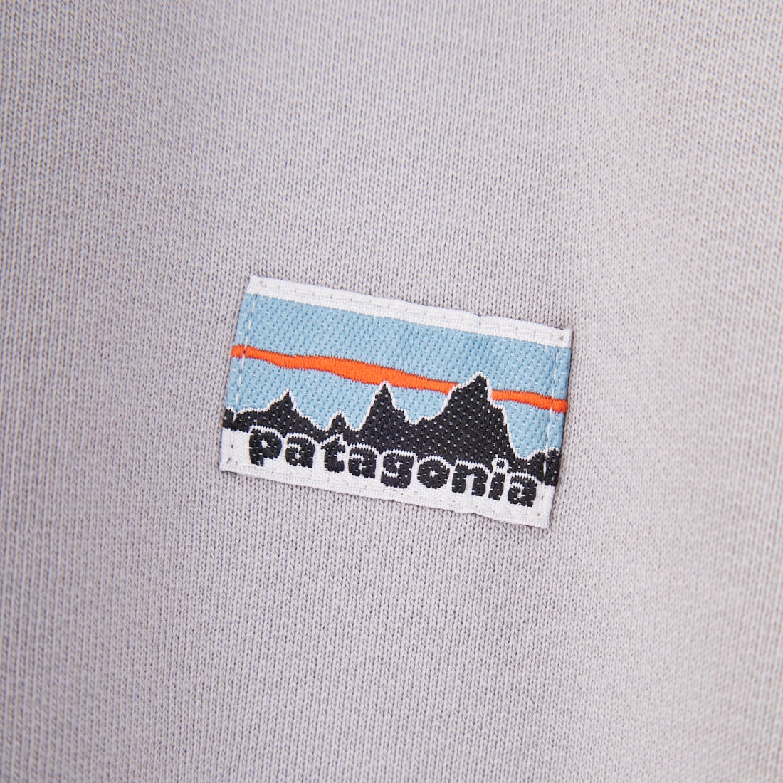 patagonia [パタゴニア] デイリー クルーネックスウェットシャツ [22765] SGRY