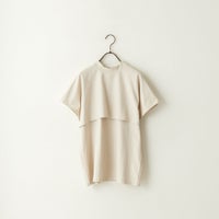 810 ﾗｲﾄｸﾞﾚ