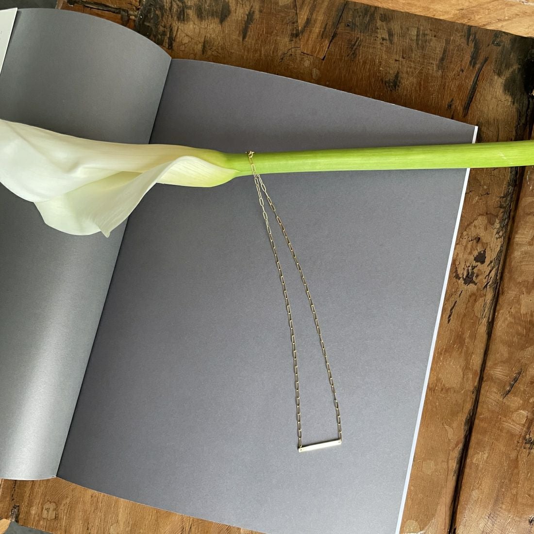 EO [イオ] ネックレス [EO24SS-31] GOLD