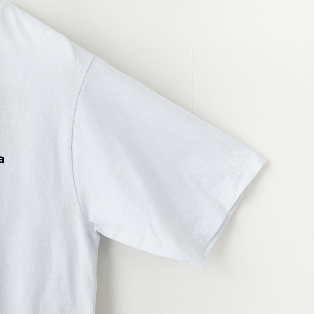 patagonia [パタゴニア] メンズ P-6ロゴ レスポンシビリティーTシャツ [38504] WHI