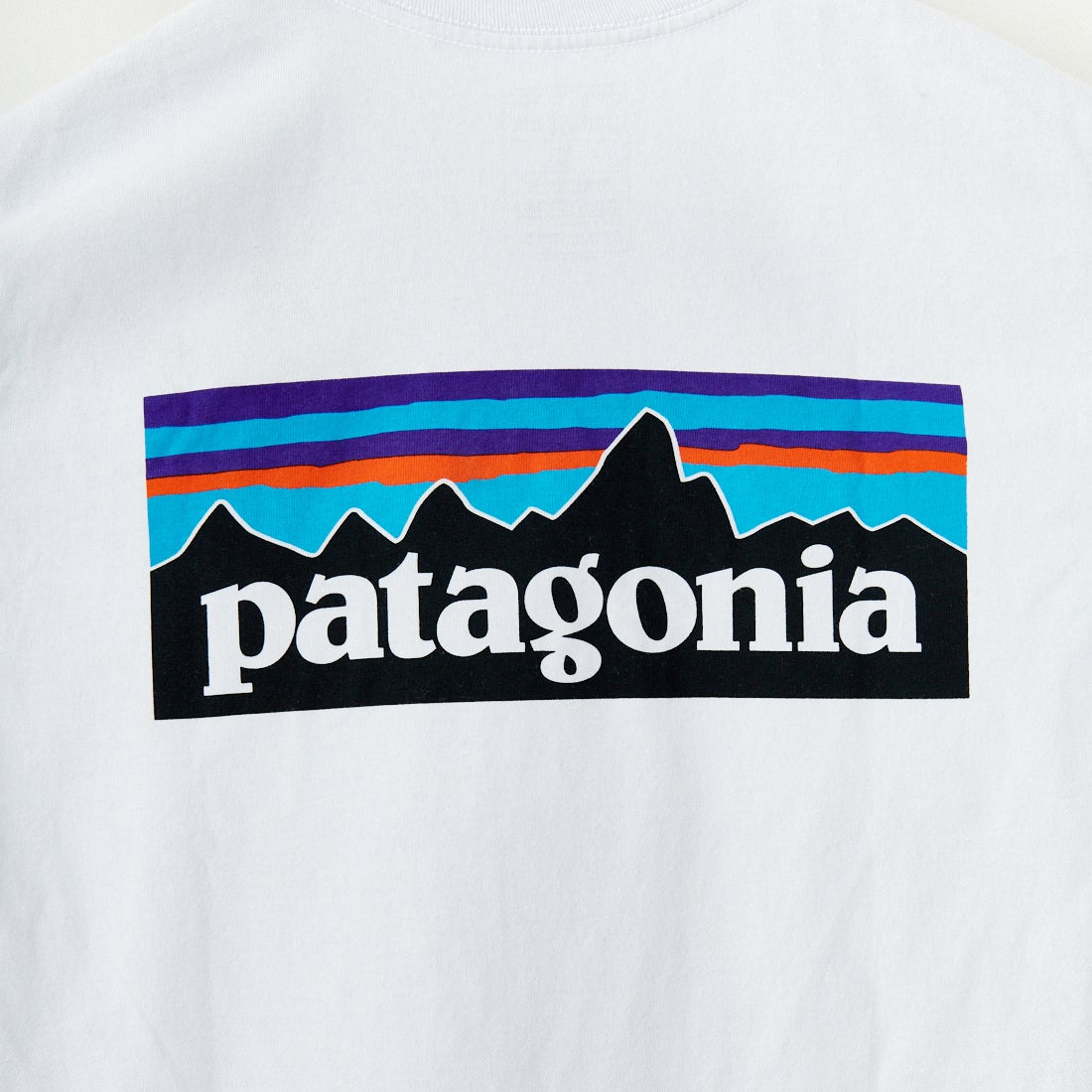 patagonia [パタゴニア] メンズ P-6ロゴ レスポンシビリティーTシャツ [38504] WHI