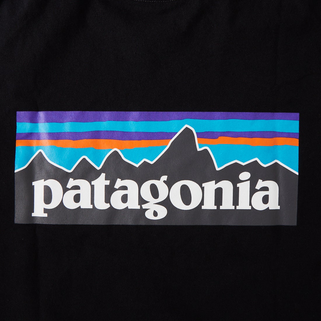 patagonia [パタゴニア] メンズ P-6ロゴ レスポンシビリティーTシャツ [38504] BLK