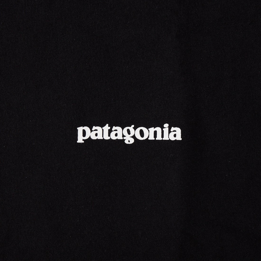 patagonia [パタゴニア] メンズ P-6ロゴ レスポンシビリティーTシャツ [38504] BLK