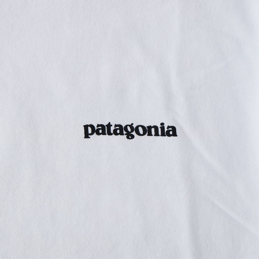 patagonia [パタゴニア] メンズ P-6ロゴ レスポンシビリティーTシャツ [38504] WHI