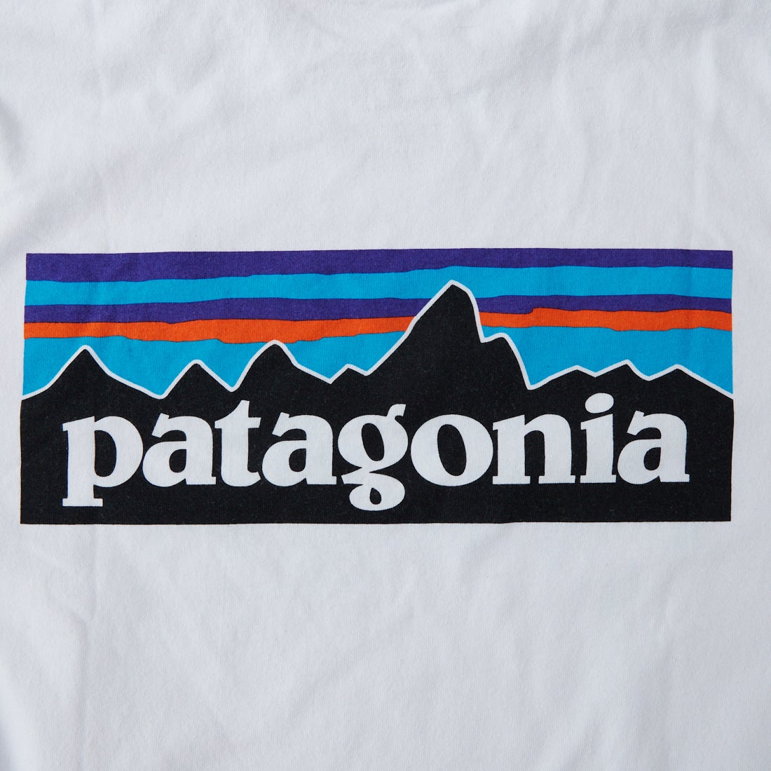 patagonia [パタゴニア] メンズ P-6ロゴ レスポンシビリティーTシャツ