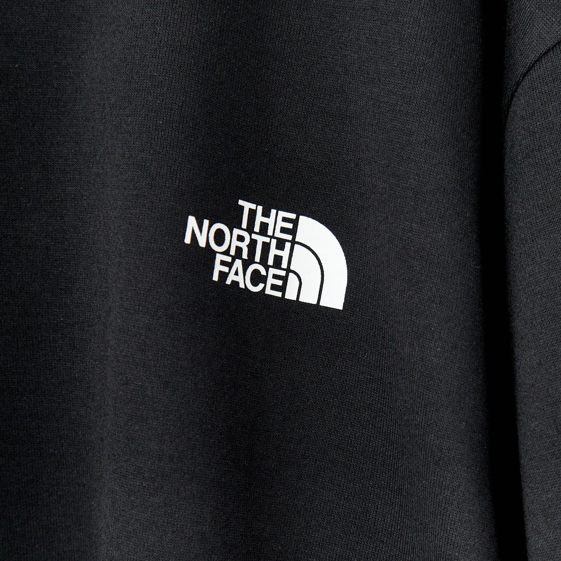 THE NORTH FACE [ザ ノースフェイス] ショートスリーブ バンダナスクエアロゴTシャツ [NT32446] K2