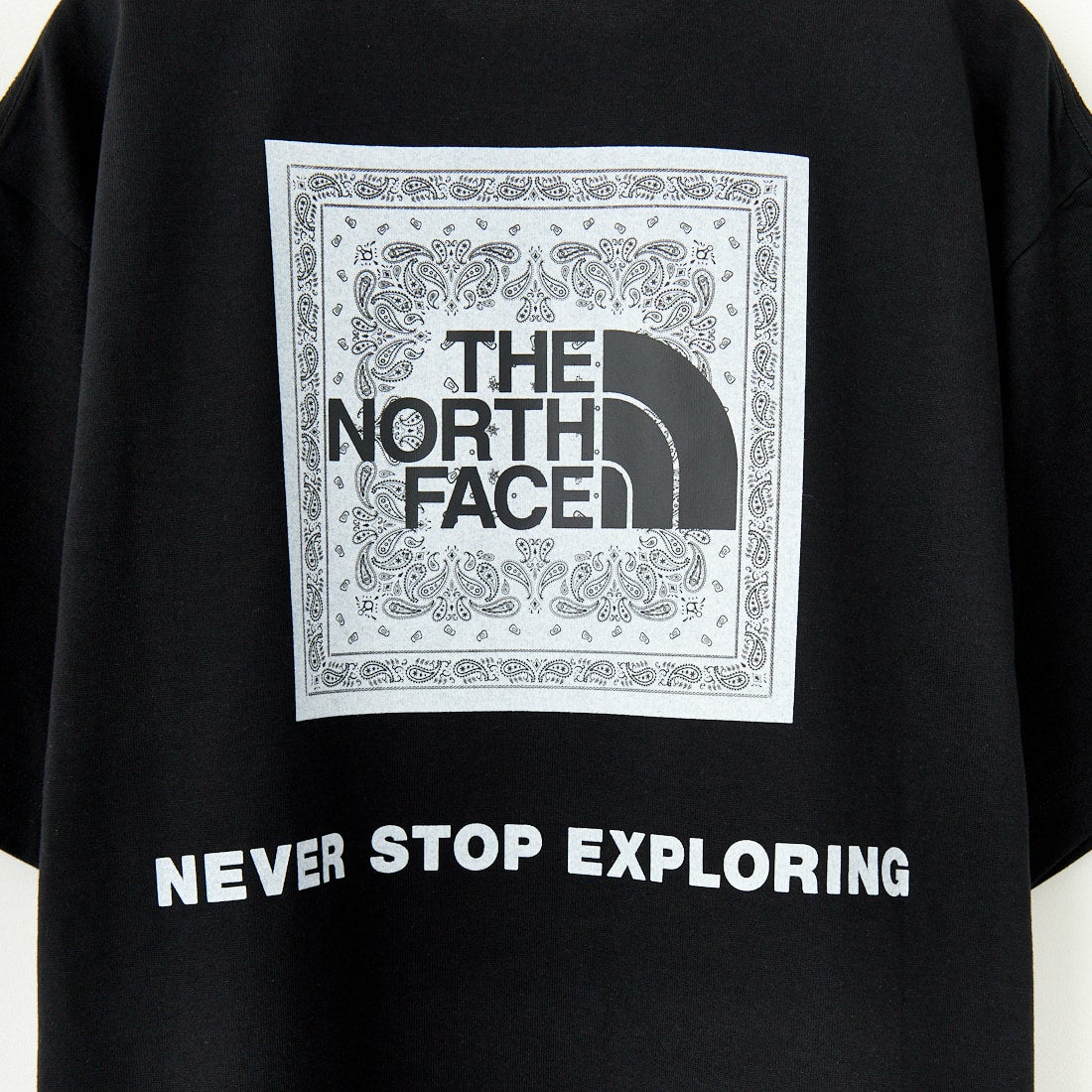 THE NORTH FACE [ザ ノースフェイス] ショートスリーブ バンダナスクエアロゴTシャツ [NT32446] K2