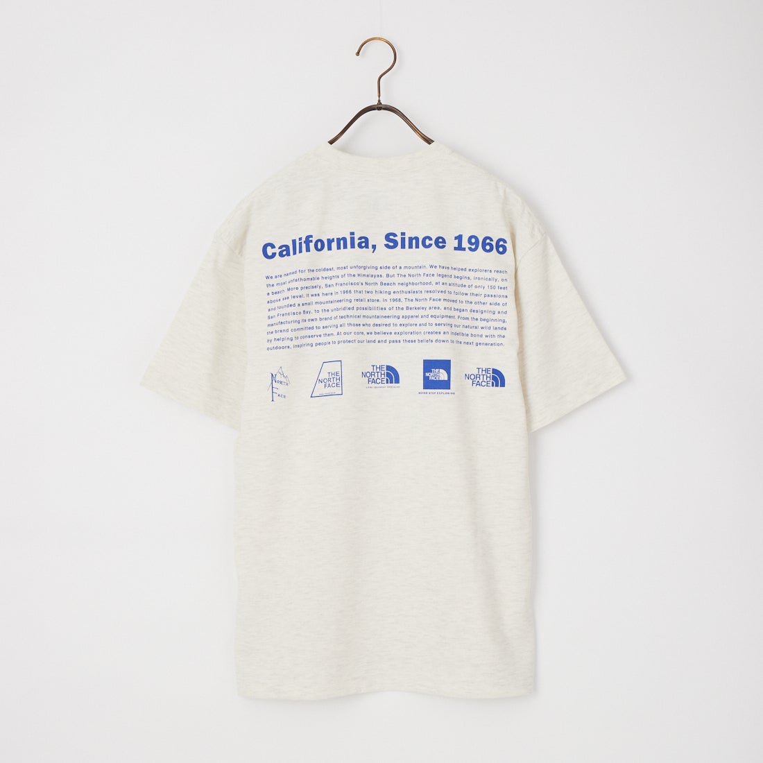 THE NORTH FACE [ザ ノースフェイス] ショートスリーブ ヒストリカルロゴTシャツ [NT32407] WX