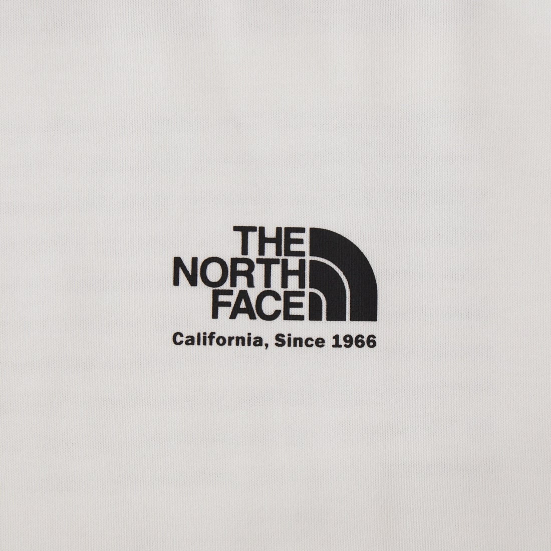 THE NORTH FACE [ザ ノースフェイス] ショートスリーブ ヒストリカルロゴTシャツ [NT32407] W