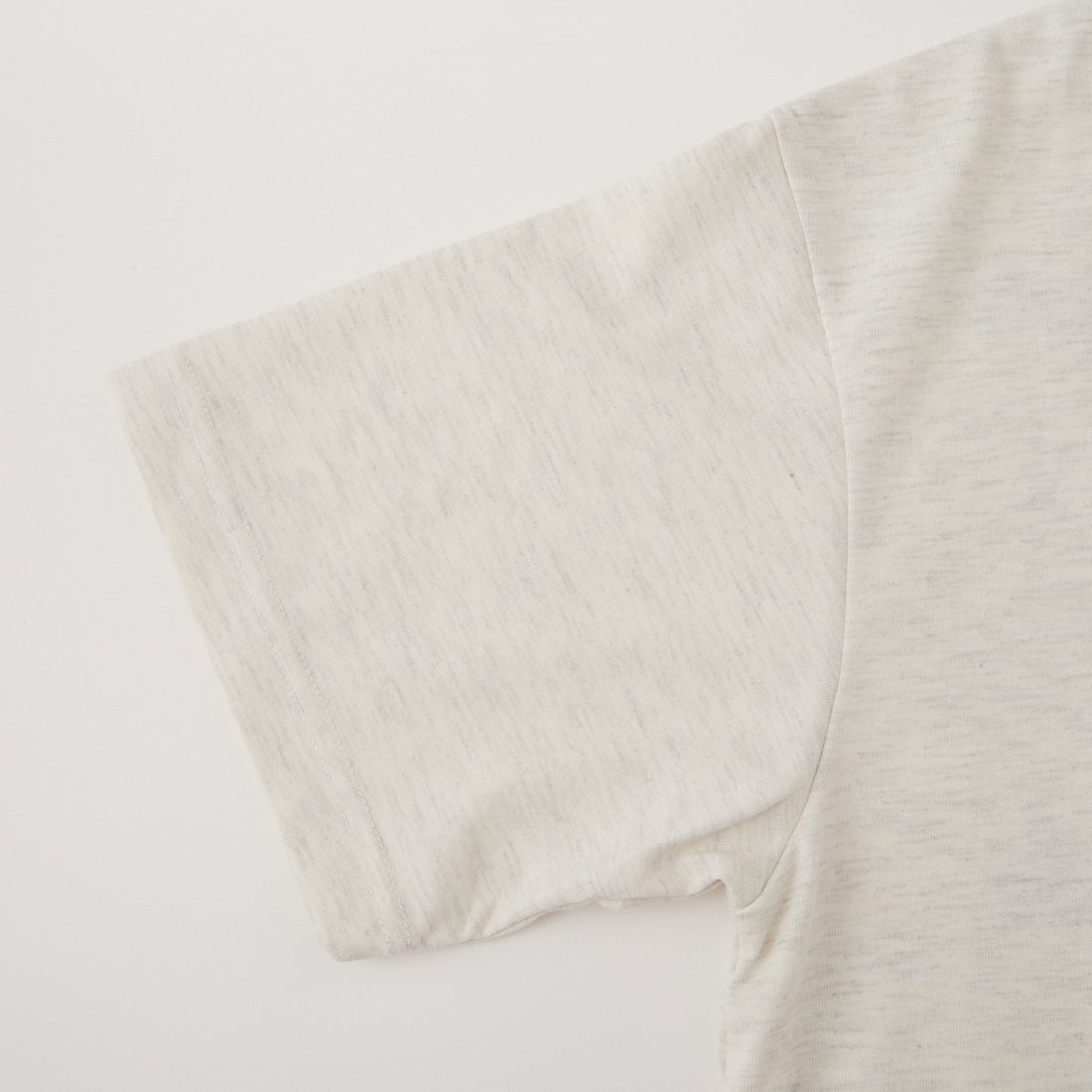 THE NORTH FACE [ザ ノースフェイス] ショートスリーブ ヒストリカルロゴTシャツ [NT32407] WX