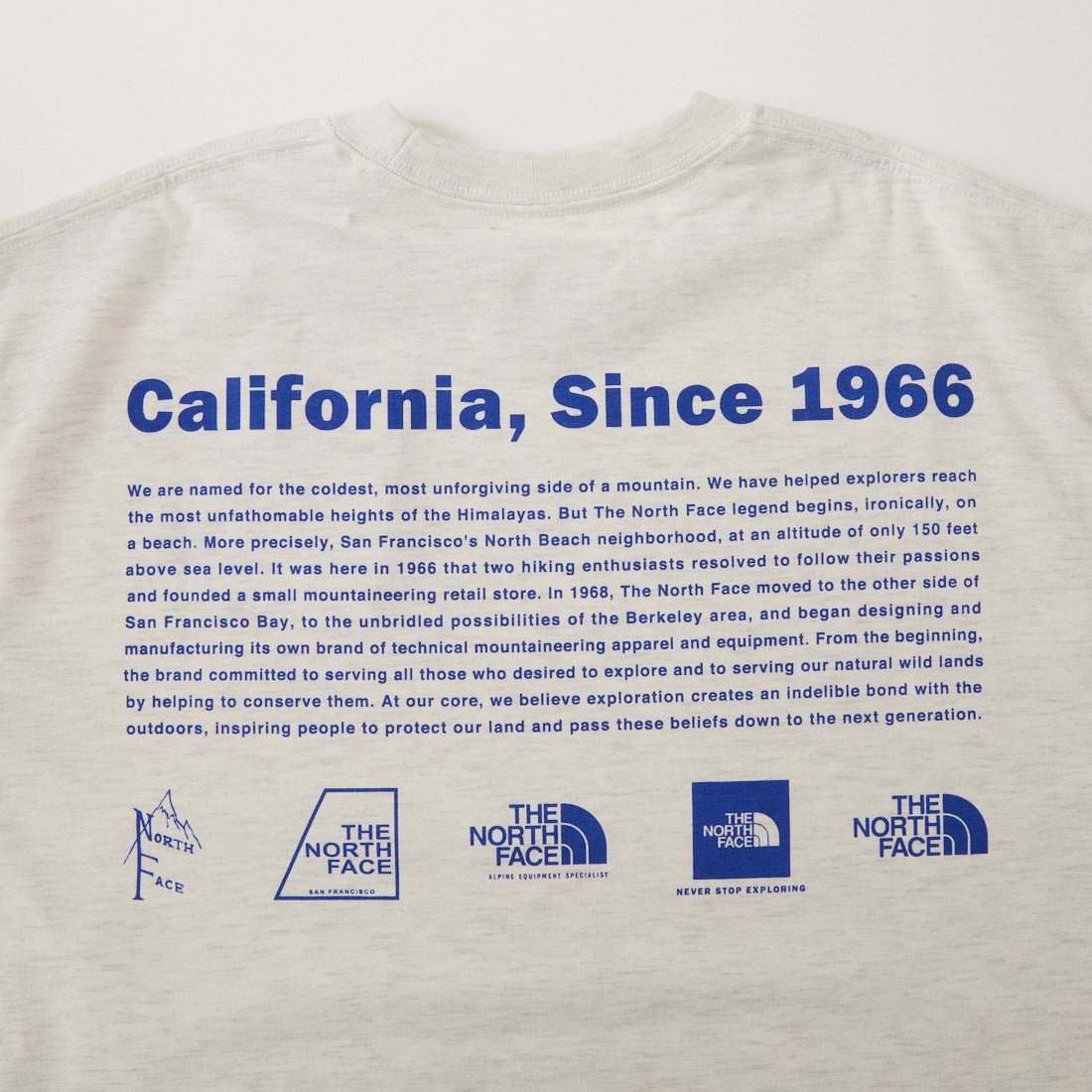 THE NORTH FACE [ザ ノースフェイス] ショートスリーブ ヒストリカルロゴTシャツ [NT32407] WX