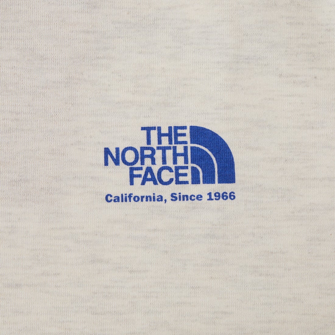 THE NORTH FACE [ザ ノースフェイス] ショートスリーブ ヒストリカルロゴTシャツ [NT32407] WX