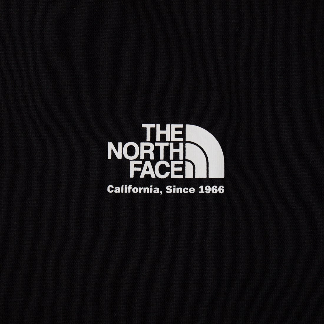 THE NORTH FACE [ザ ノースフェイス] ショートスリーブ ヒストリカルロゴTシャツ [NT32407] K