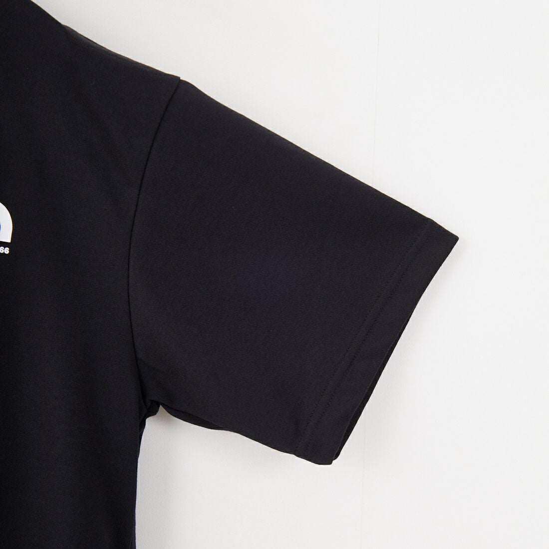 THE NORTH FACE [ザ ノースフェイス] ショートスリーブ ヒストリカルロゴTシャツ [NT32407] K