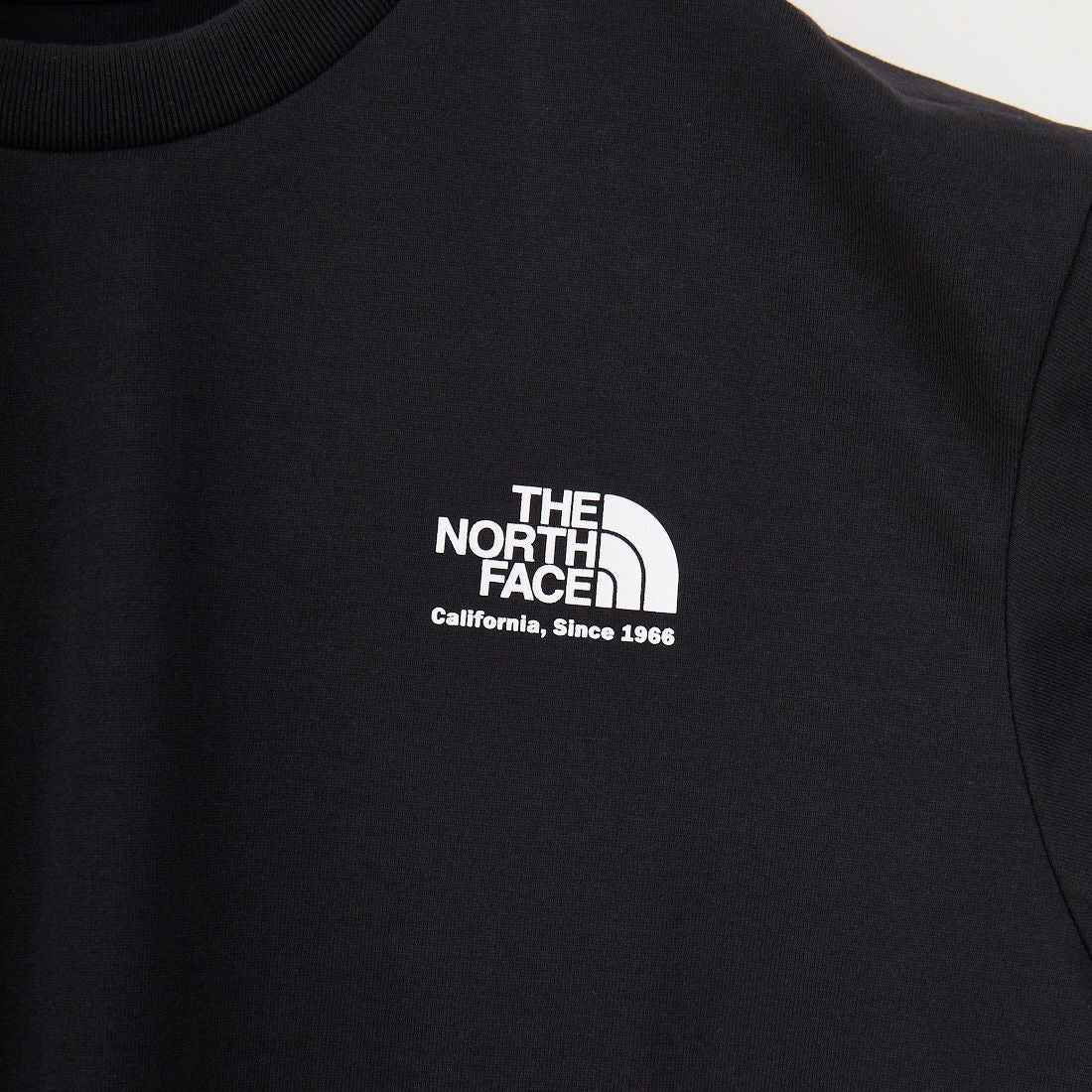 THE NORTH FACE [ザ ノースフェイス] ショートスリーブ ヒストリカルロゴTシャツ [NT32407] K
