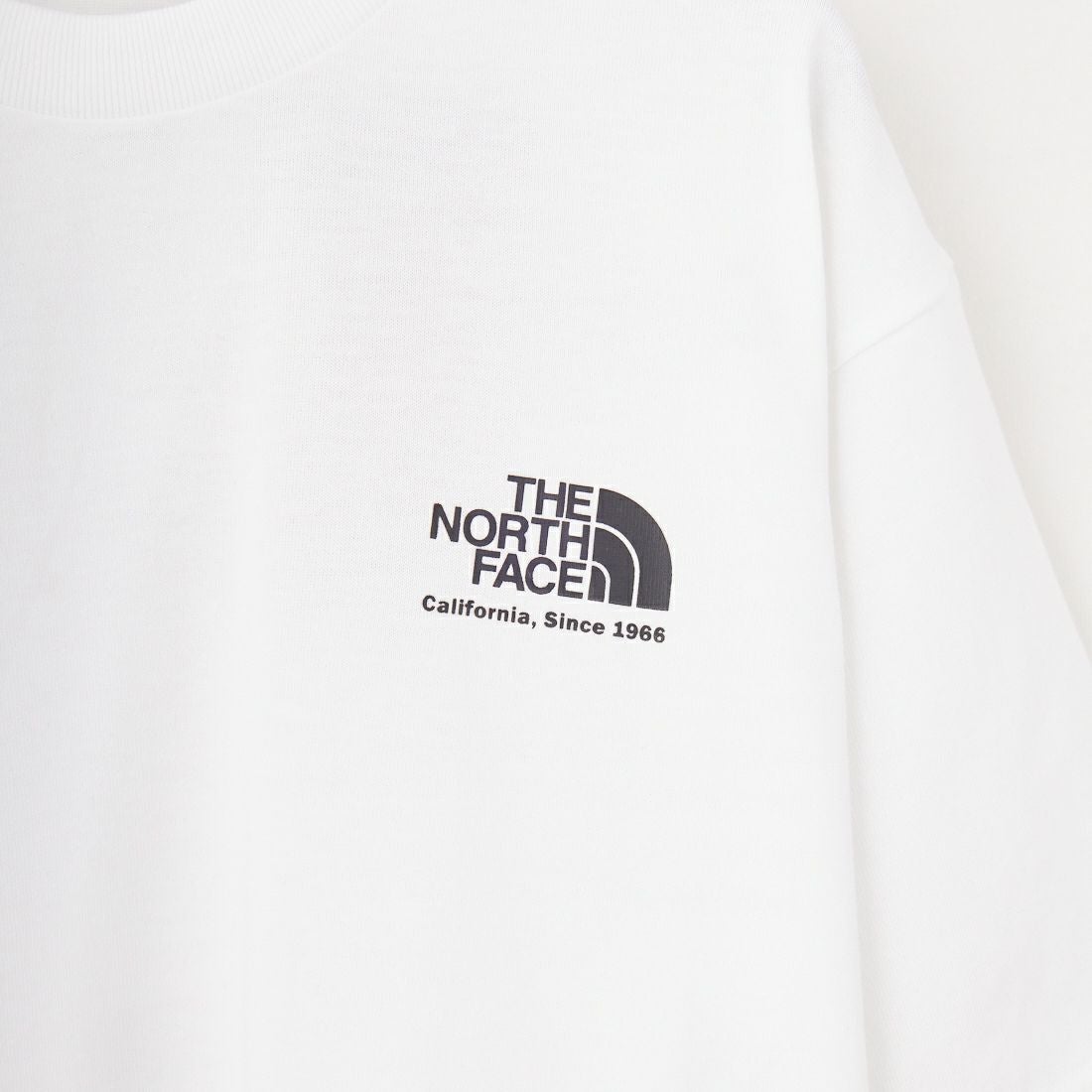THE NORTH FACE [ザ ノースフェイス] ショートスリーブ ヒストリカルロゴTシャツ [NT32407] W