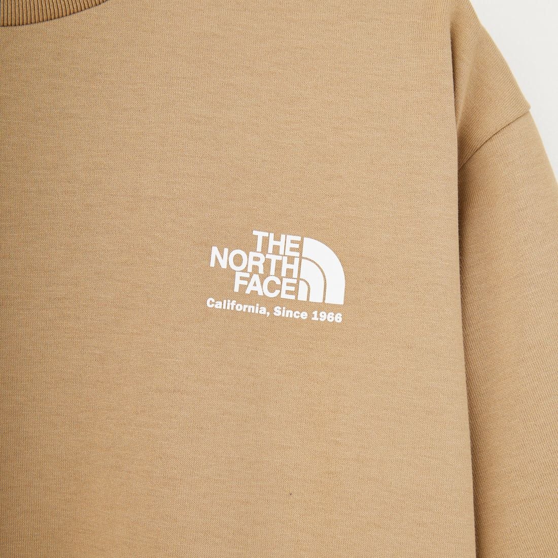 THE NORTH FACE [ザ ノースフェイス] ショートスリーブ ヒストリカルロゴTシャツ [NT32407] CK