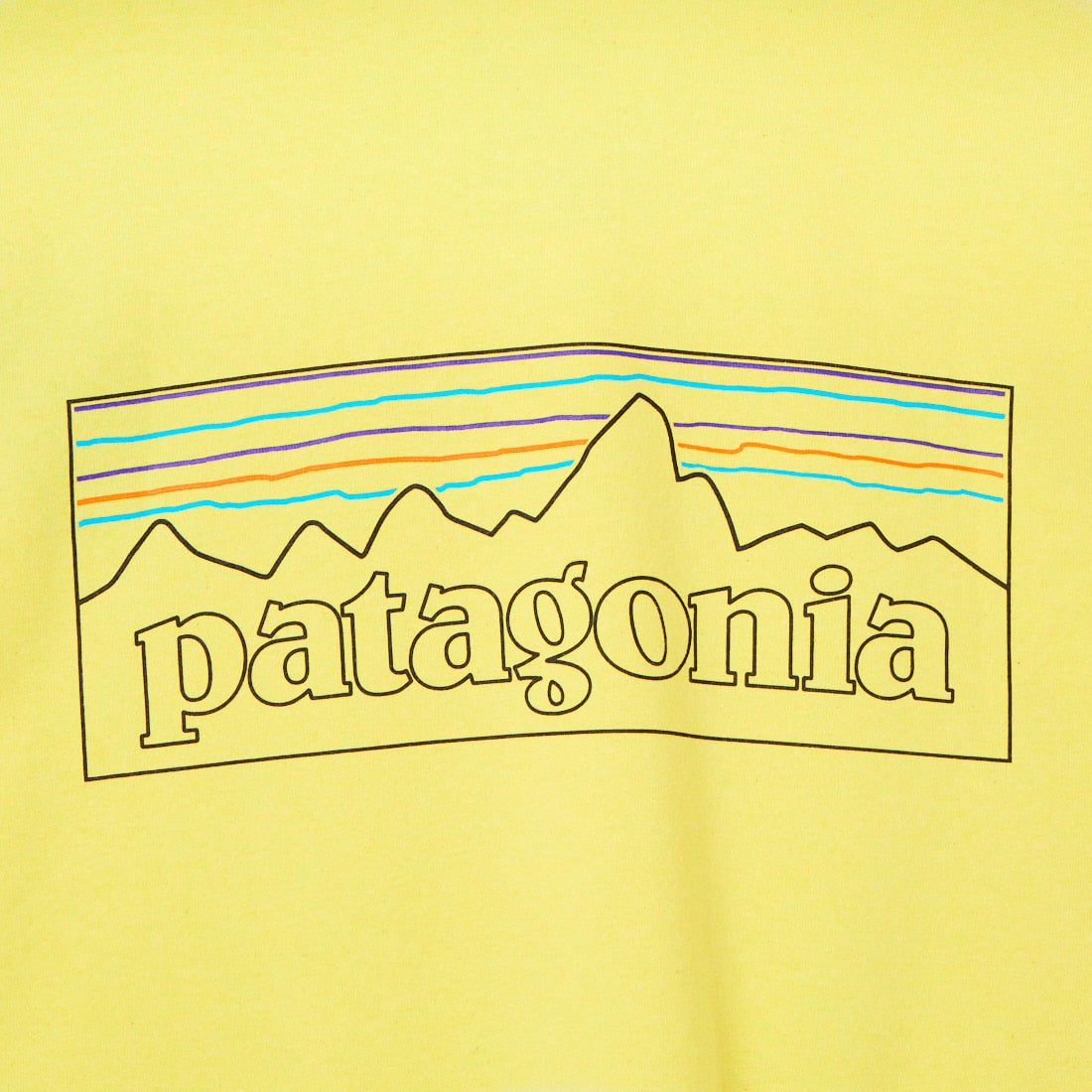 patagonia [パタゴニア] メンズ ロングスリーブ P-6ロゴ レスポンシビリティーTシャツ [38518] POLM