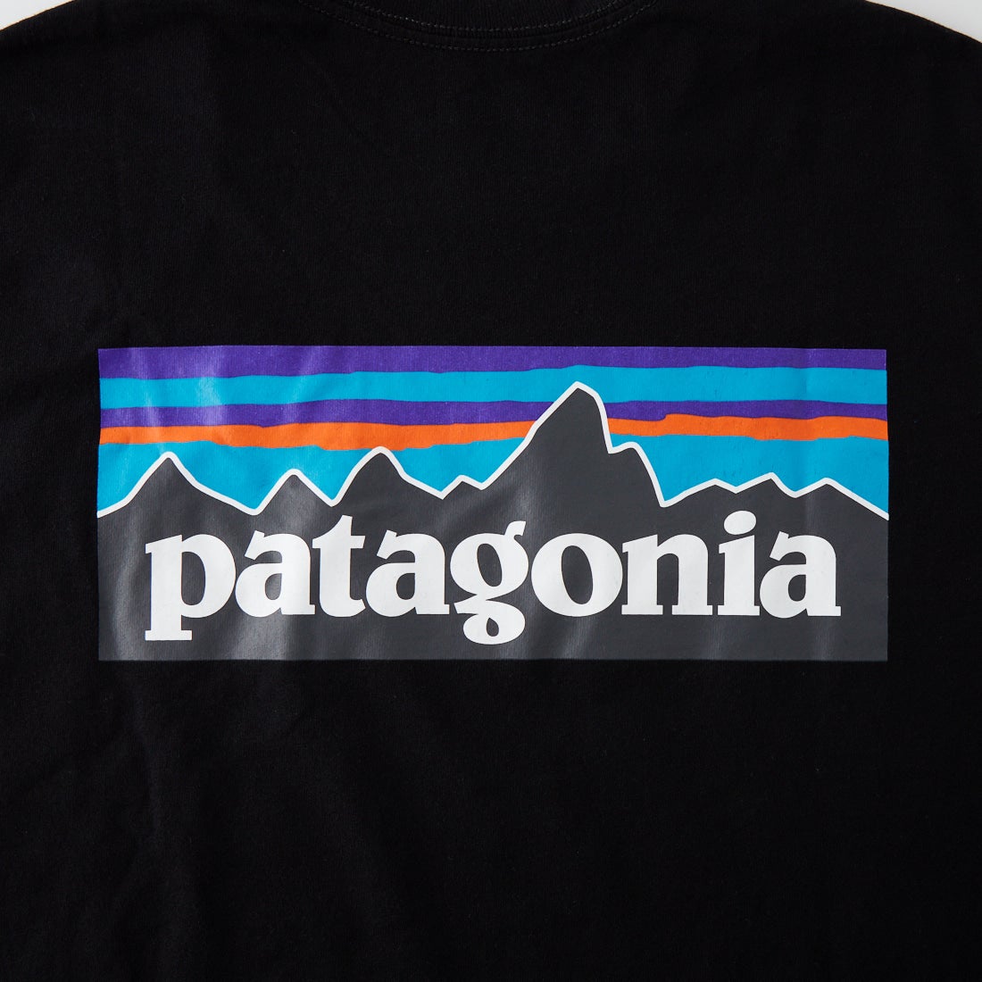 patagonia [パタゴニア] メンズ ロングスリーブ P-6ロゴ レスポンシビリティーTシャツ [38518] BLK