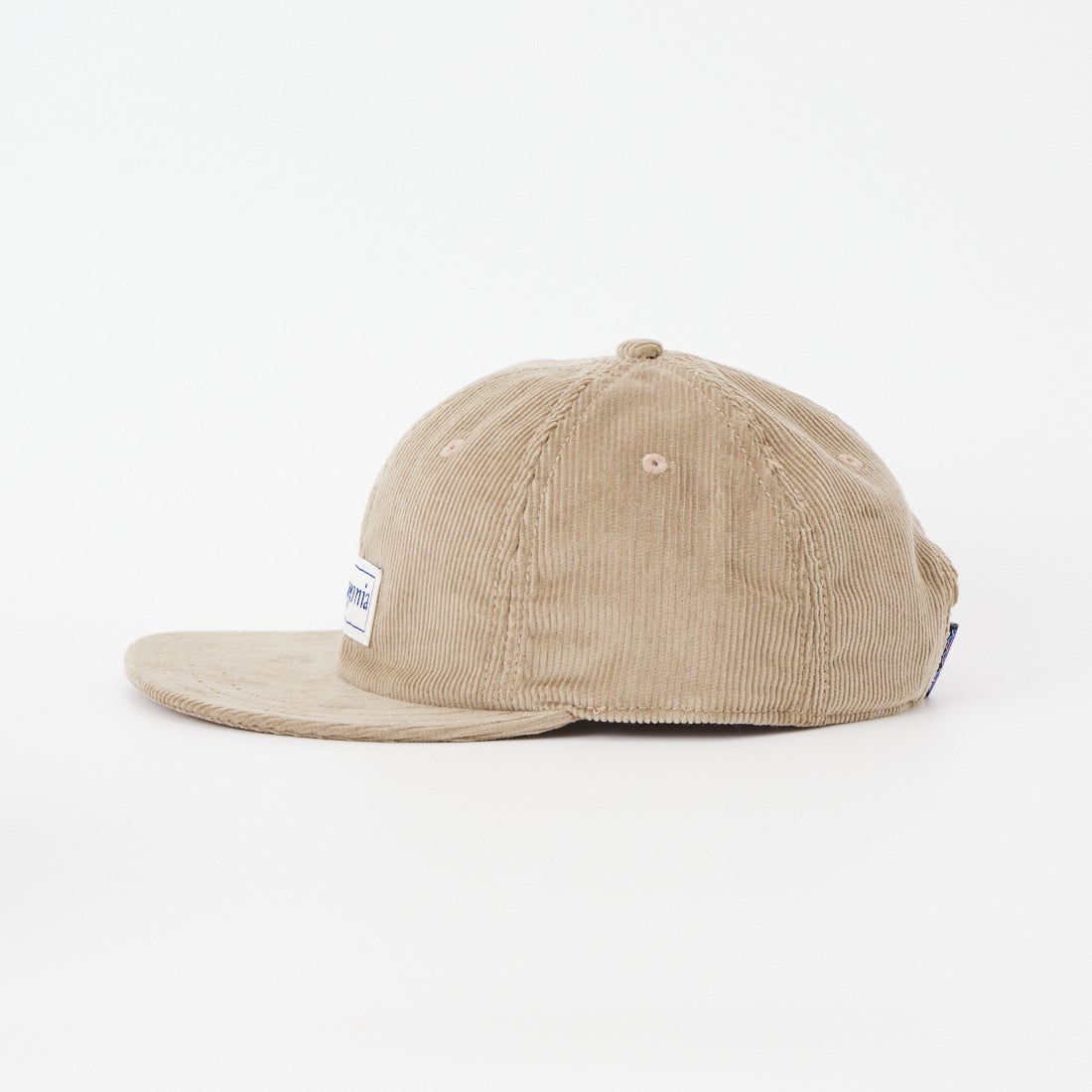 patagonia [パタゴニア] コーデュロイ キャップ [33535] HLSE