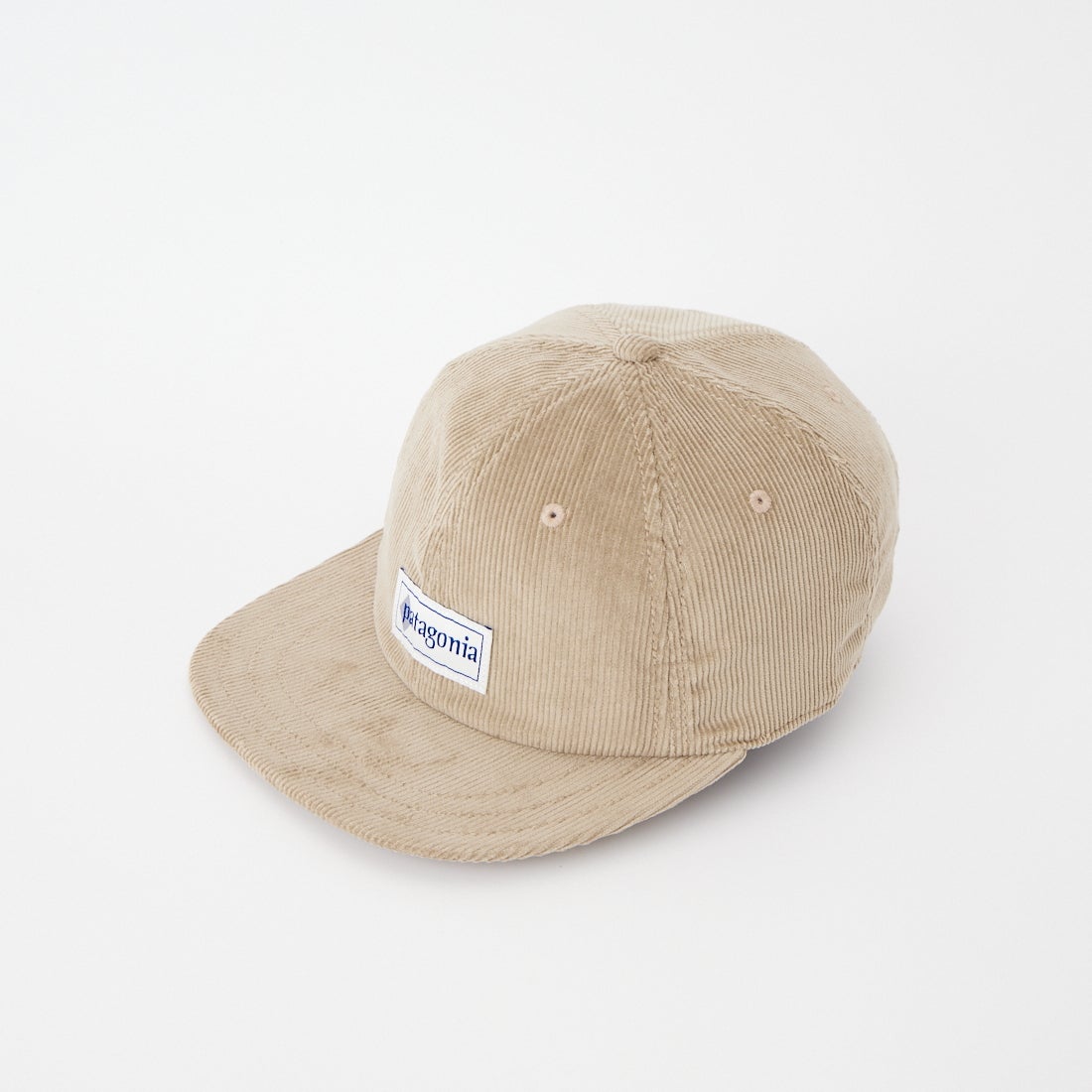 patagonia [パタゴニア] コーデュロイ キャップ [33535] HLSE