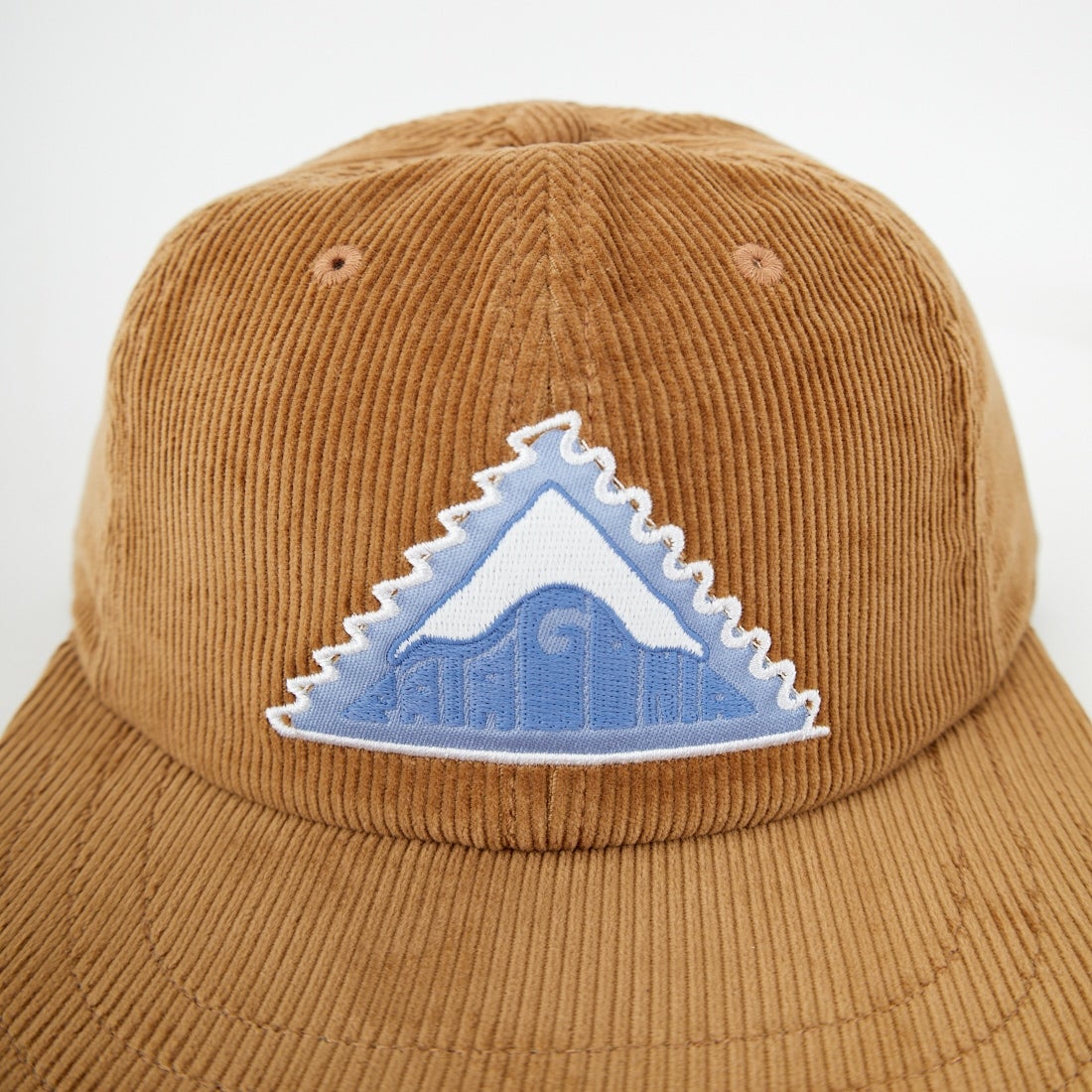 patagonia [パタゴニア] コーデュロイ キャップ [33535]｜ジーンズ